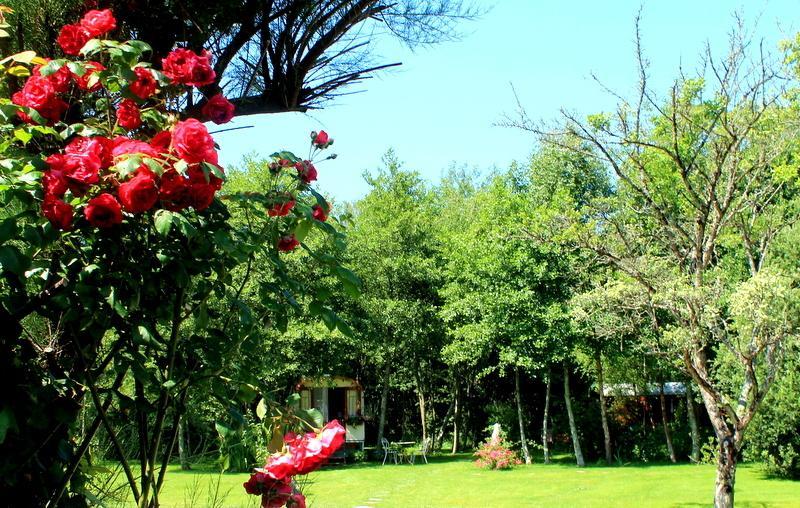 Roulottes Du Rouard Bed & Breakfast Camiers Phòng bức ảnh