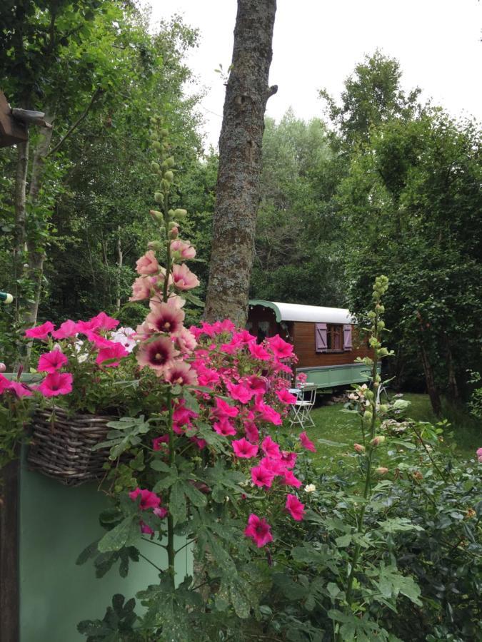 Roulottes Du Rouard Bed & Breakfast Camiers Ngoại thất bức ảnh