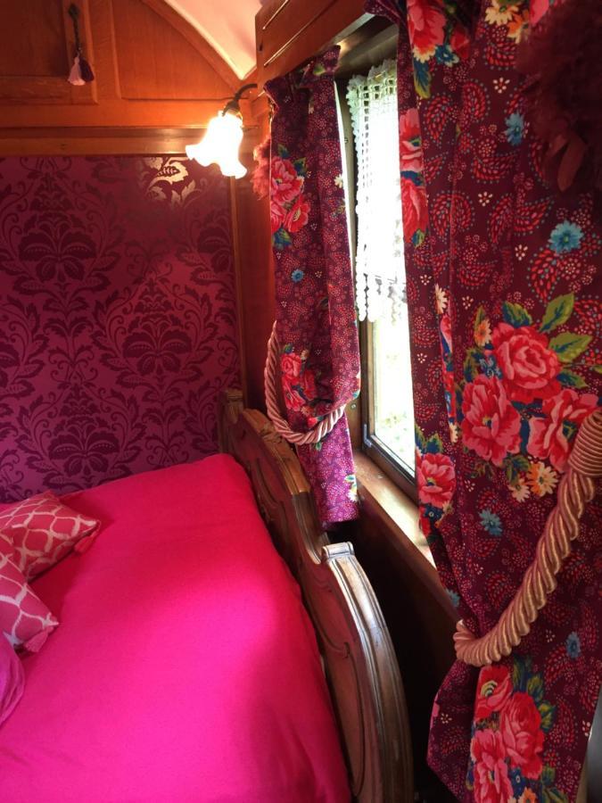 Roulottes Du Rouard Bed & Breakfast Camiers Ngoại thất bức ảnh